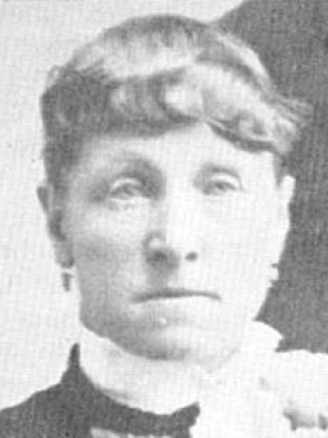 Sarah Catherine Provost (1854 - 1919) Profile